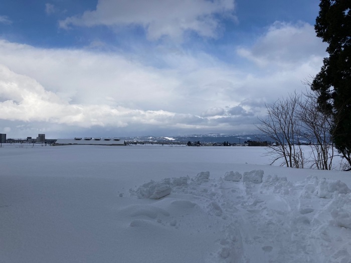 カネタ建設は上越・糸魚川地域で注文住宅をてがけている建設会社です