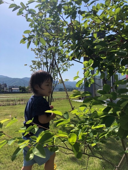 上越市|注文住宅|新築|カネタ建設|大自然と暮らす家|オーナーボイス 上越市|注文住宅|新築|カネタ建設|大自然と暮らす家|オーナーボイス