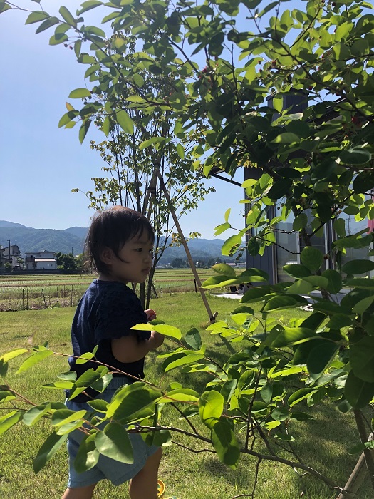 カネタ建設は上越・糸魚川地域で注文住宅をてがけている建設会社です