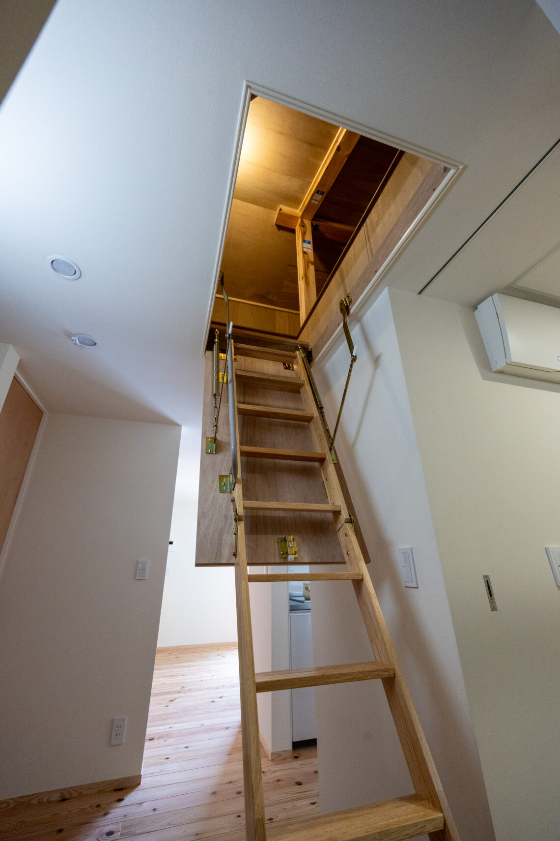 糸魚川杉の平屋の家