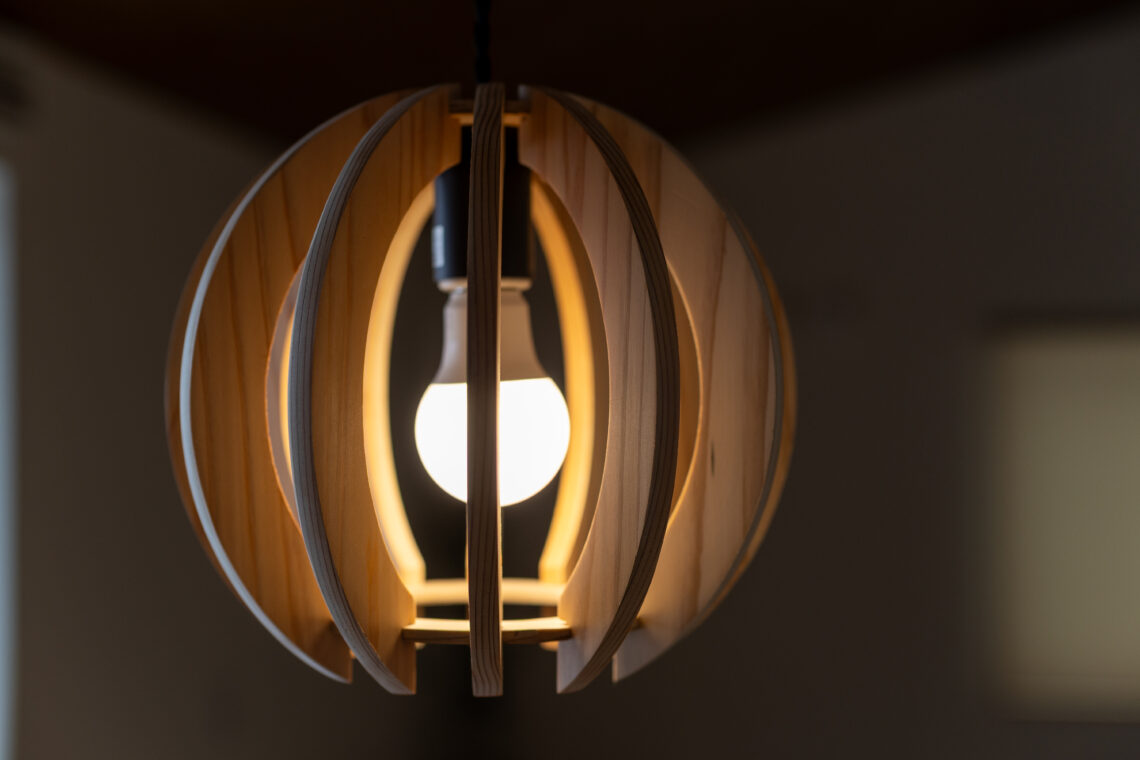 糸魚川杉の平屋の家