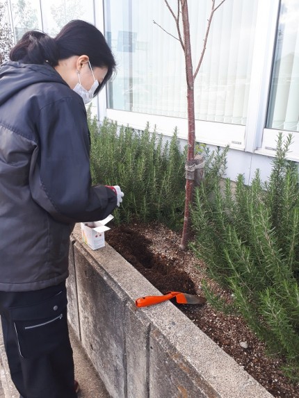 |カネタ建設|上越市|新築住宅|スタッフ|園芸| |カネタ建設|上越市|新築住宅|スタッフ|園芸|