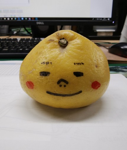 ブンタン 6736c2d2d1b015bec852eb9bf493835c