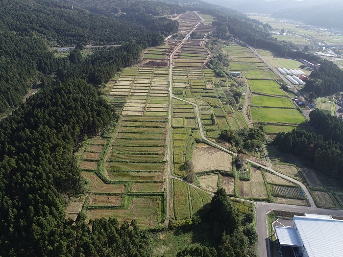 カネタ建設は上越・糸魚川地域で注文住宅をてがけている建設会社です