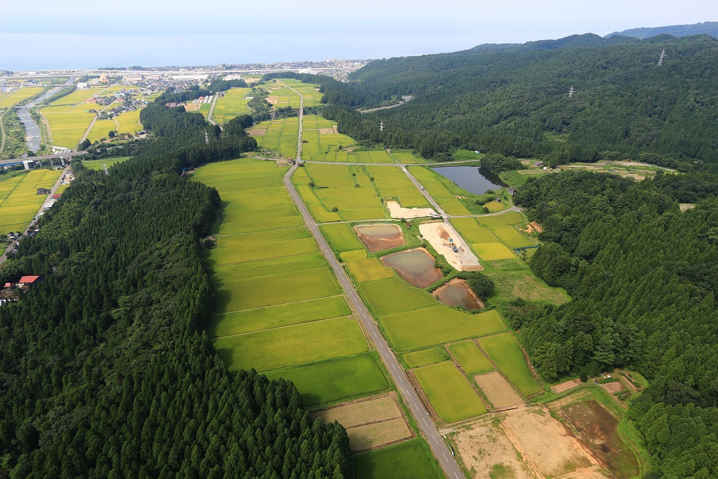 カネタ建設は上越・糸魚川地域で注文住宅をてがけている建設会社です