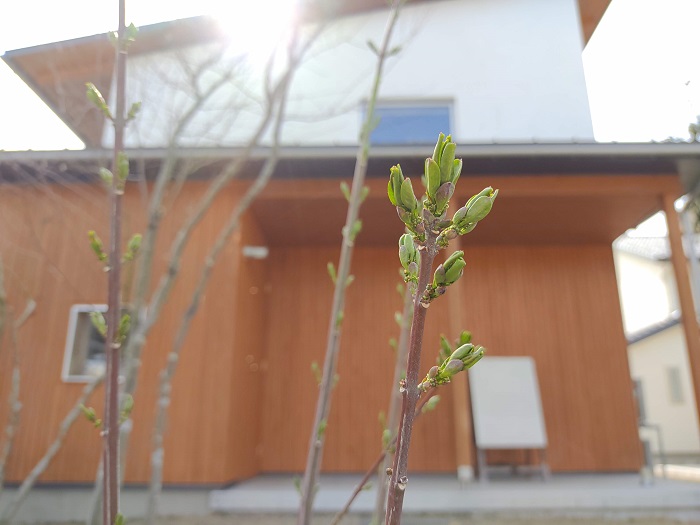 カネタ建設は上越・糸魚川地域で注文住宅をてがけている建設会社です