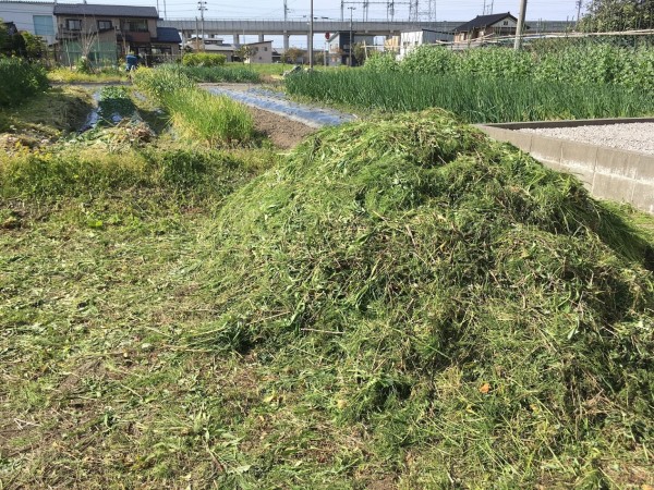 カネタ建設は上越・糸魚川地域で注文住宅をてがけている建設会社です