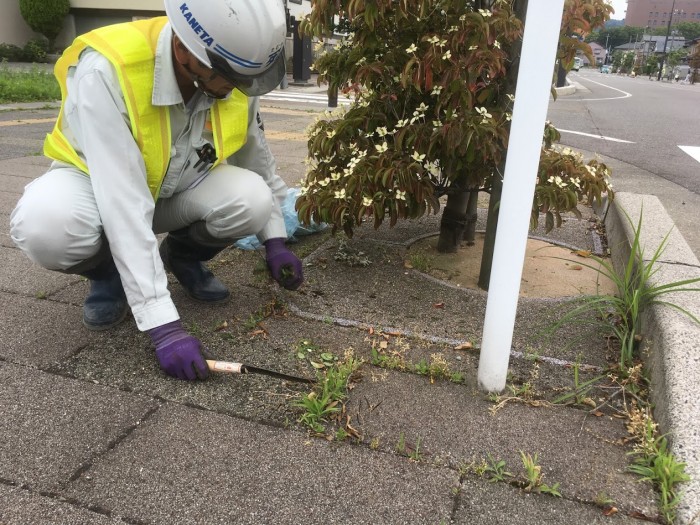 カネタ建設は上越・糸魚川地域で注文住宅をてがけている建設会社です