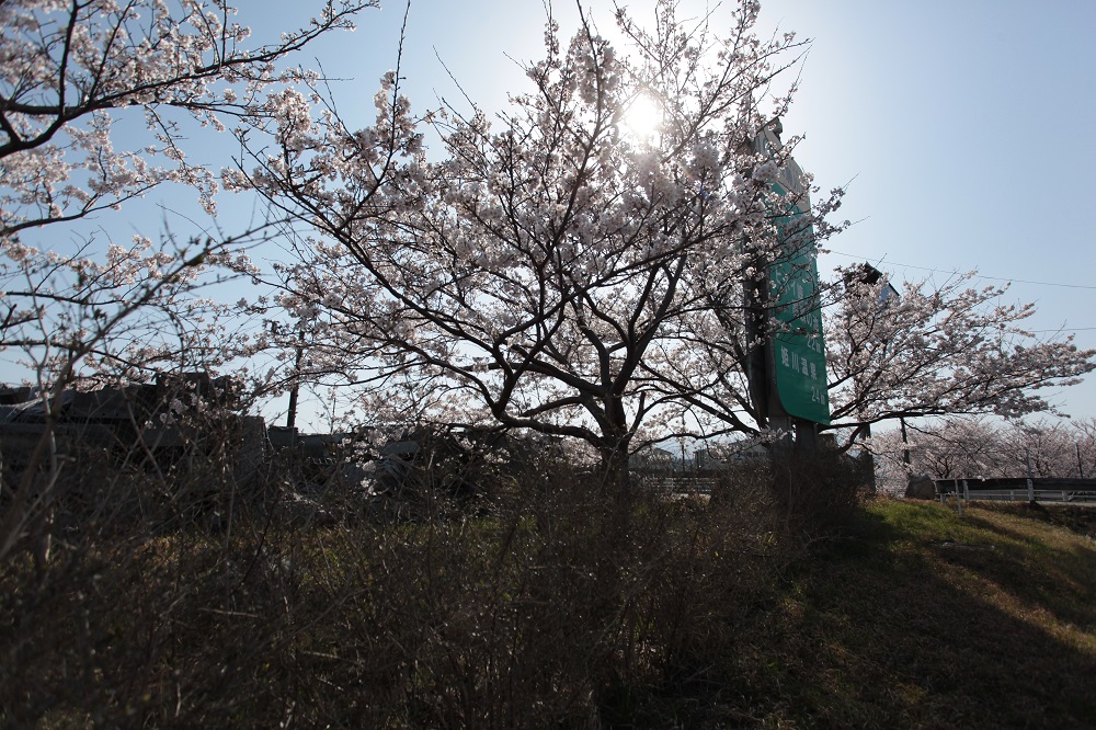 カネタ建設は上越・糸魚川地域で注文住宅をてがけている建設会社です