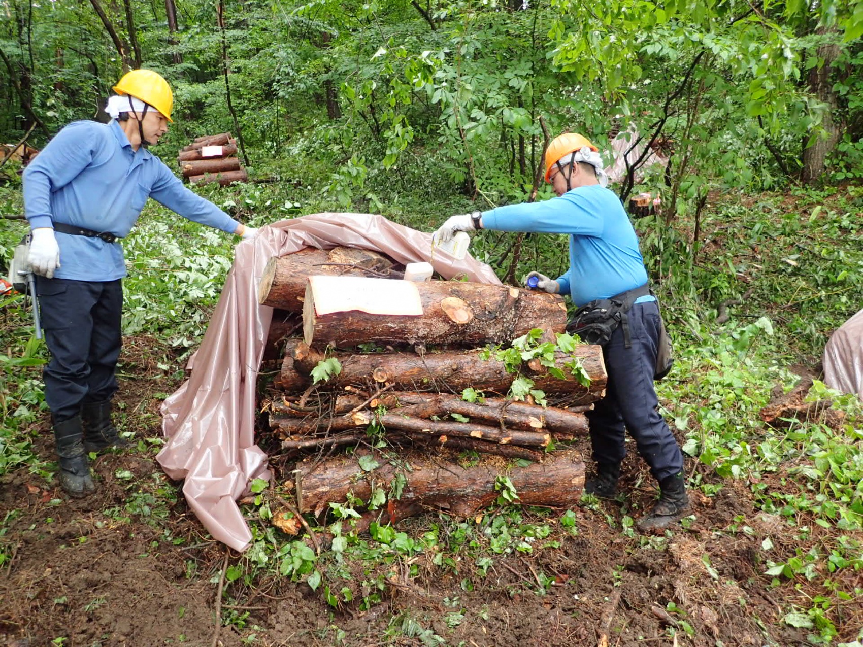 カネタ建設は上越・糸魚川地域で注文住宅をてがけている建設会社です