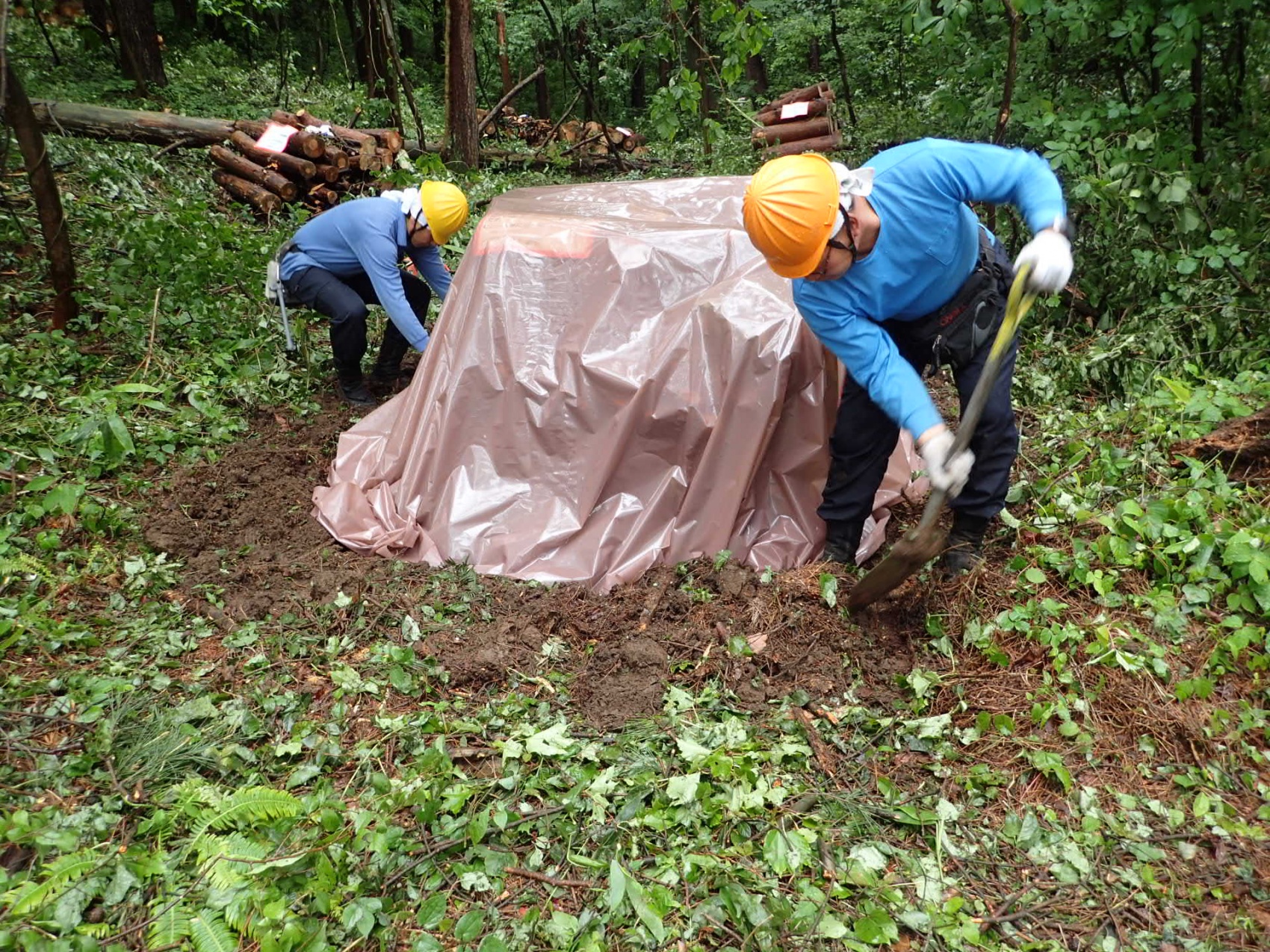 カネタ建設は上越・糸魚川地域で注文住宅をてがけている建設会社です