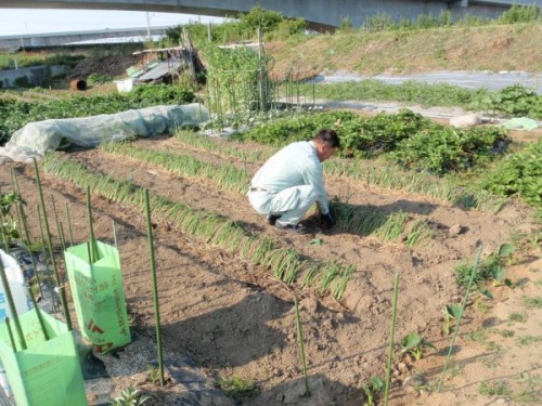 カネタ建設は上越・糸魚川地域で注文住宅をてがけている建設会社です