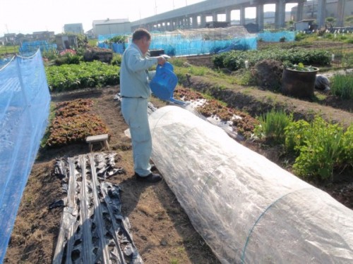 カネタ建設は上越・糸魚川地域で注文住宅をてがけている建設会社です