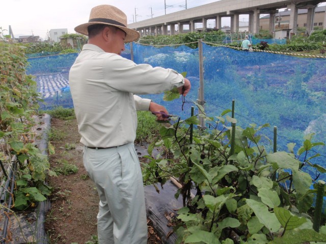 カネタ建設は上越・糸魚川地域で注文住宅をてがけている建設会社です