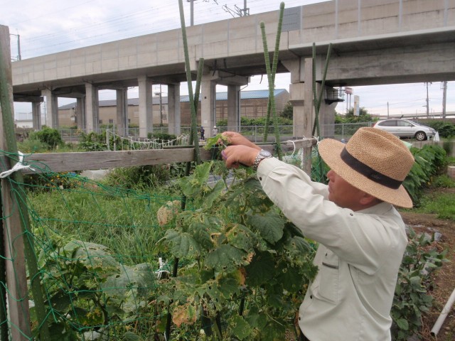 カネタ建設は上越・糸魚川地域で注文住宅をてがけている建設会社です