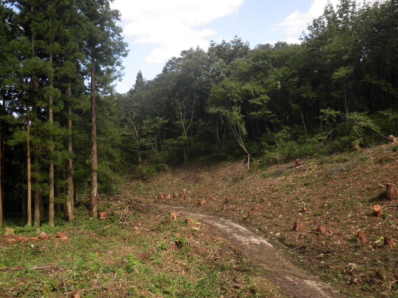 カネタ建設は上越・糸魚川地域で注文住宅をてがけている建設会社です