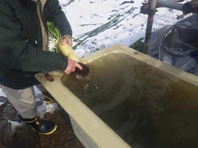 カネタ建設は上越・糸魚川地域で注文住宅をてがけている建設会社です