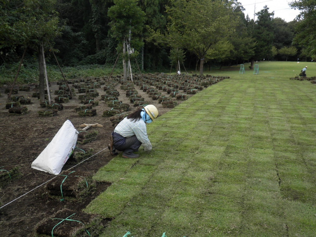 カネタ建設は上越・糸魚川地域で注文住宅をてがけている建設会社です