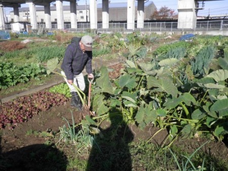 カネタ建設は上越・糸魚川地域で注文住宅をてがけている建設会社です