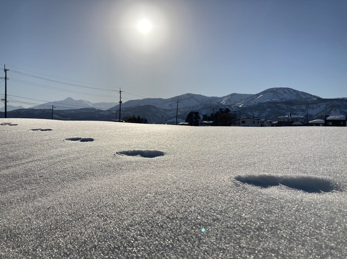 カネタ建設は上越・糸魚川地域で注文住宅をてがけている建設会社です