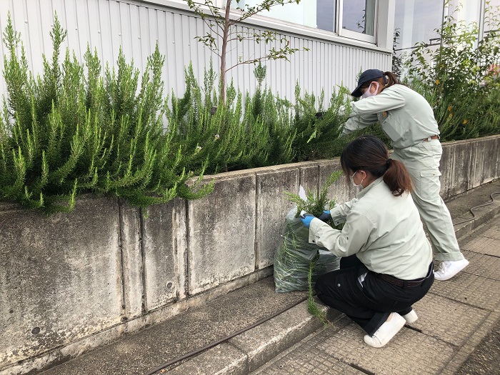 カネタ建設は上越・糸魚川地域で注文住宅をてがけている建設会社です