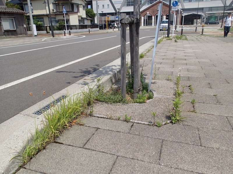 カネタ建設は上越・糸魚川地域で注文住宅をてがけている建設会社です