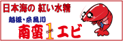 ◆Kaneta◆オンリー“１”の住まいづくり