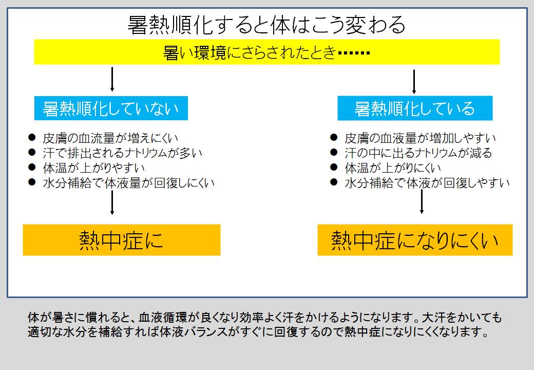 カネタ建設は上越・糸魚川地域で注文住宅をてがけている建設会社です