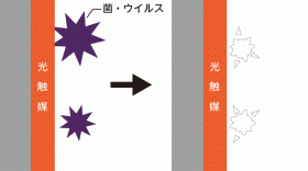 光触媒効果その3|抗菌・抗ウイルス・カビ抵抗性 photocatalyst_fig03